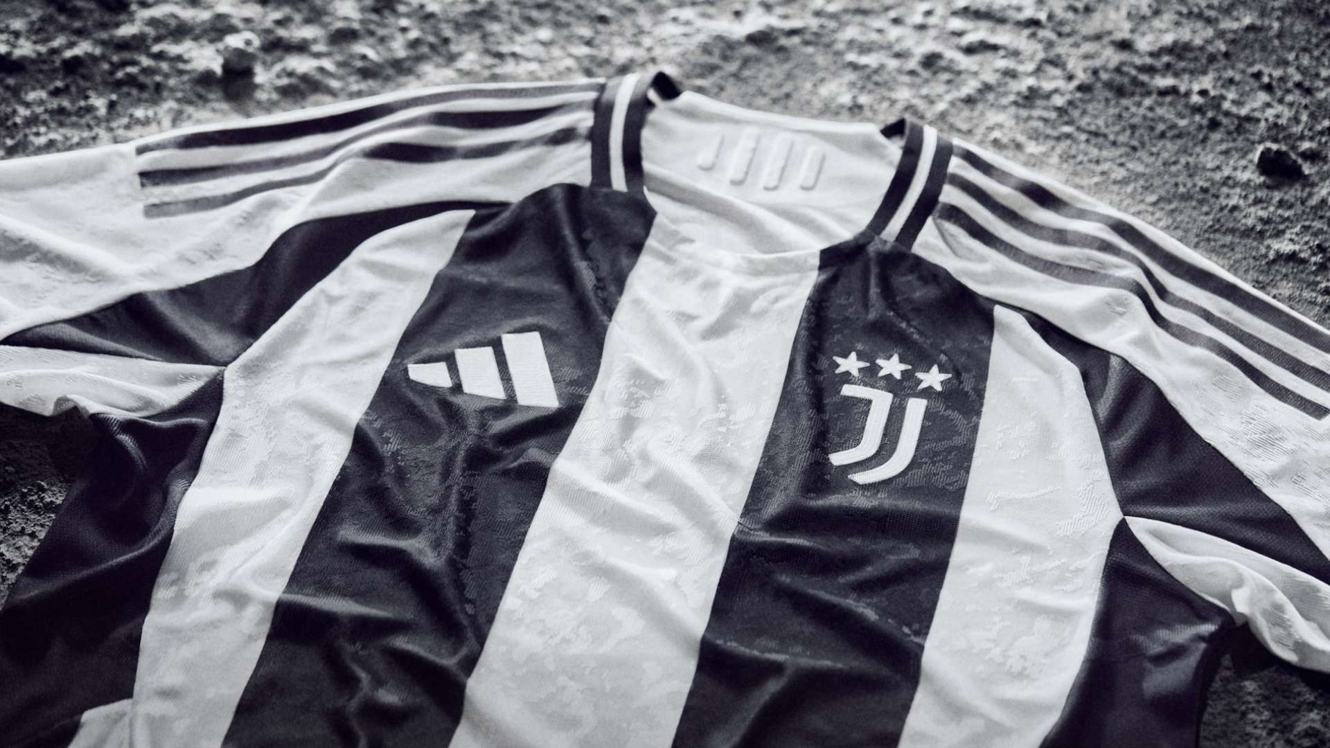 晋级四强 晋级四强