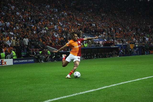 俄罗斯滑雪 俄罗斯滑雪